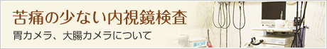 苦痛の少ない内視鏡検査 胃カメラ、大腸カメラについて